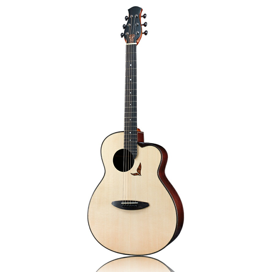 楽天市場】aNueNue LS600 アコースティックギター Future Series