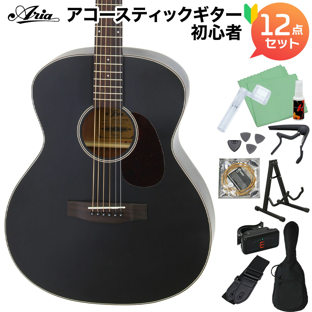 ARIA Aria-101 MTBK アコースティックギター初心者セット12点セット マットブラック 黒 艶消し塗装 アリア