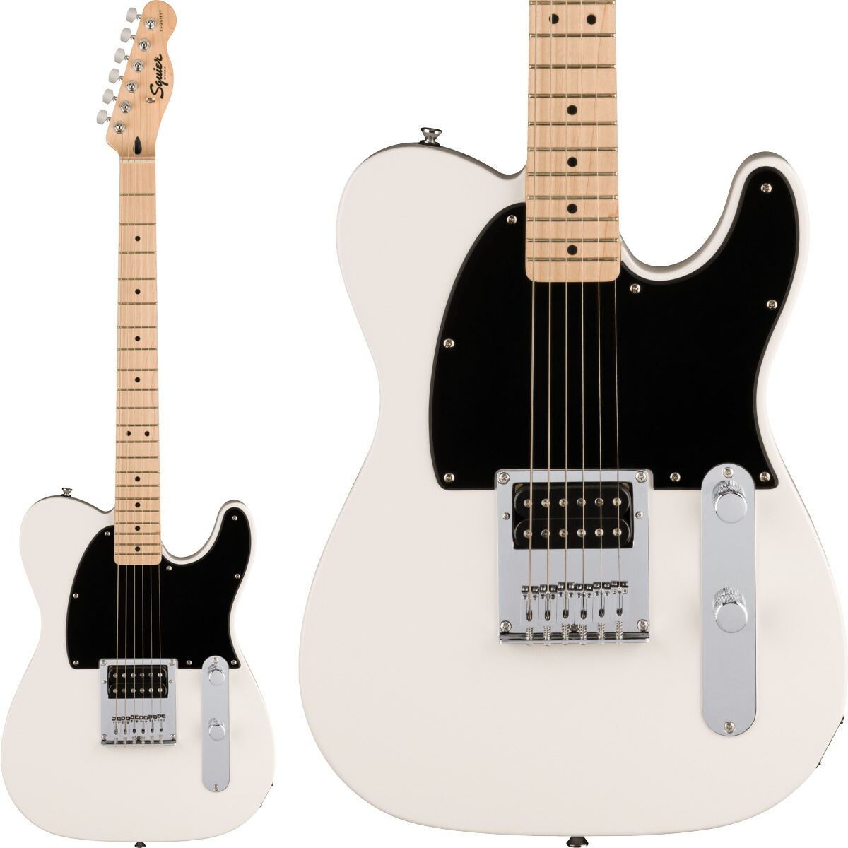 楽天市場】【楽天スーパーSALE限定 エントリーでP5倍】 Squier by