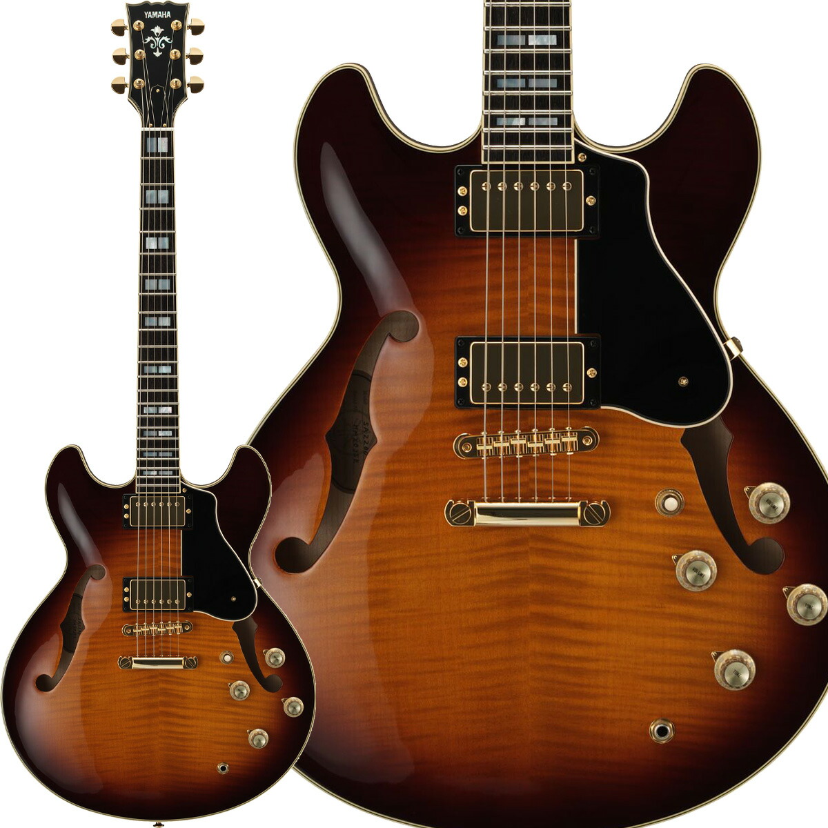 楽天市場】FUJIGEN MSA-HP-C BK 新品[フジゲン,富士弦,FgN][国産