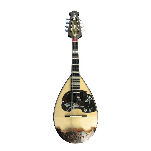 楽天市場】Calace No.16bis マンドラ カラーチェ : 島村楽器