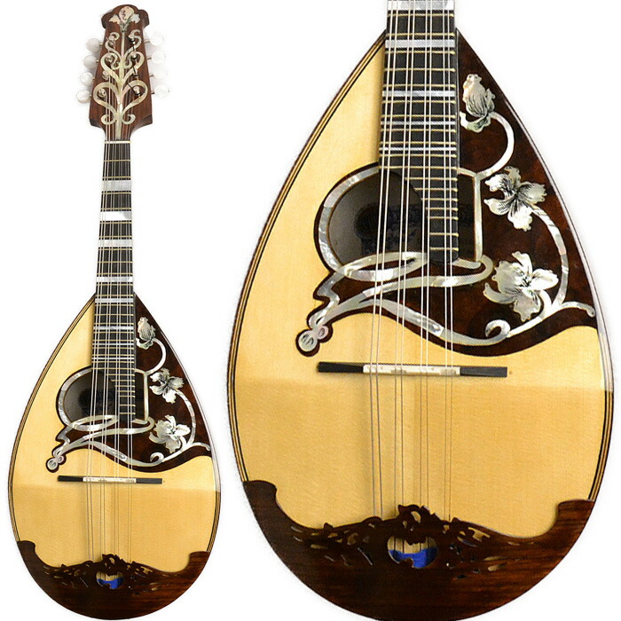 楽天市場】Calace No.24 マンドラ イタリア手工製 カラーチェ No24