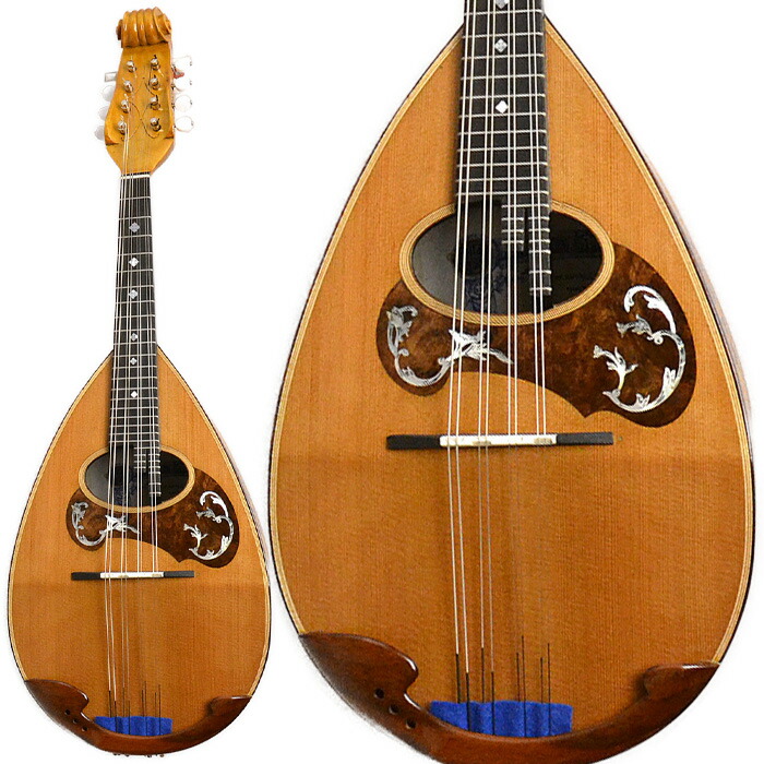 楽天市場】Calace Brevettato オールセラック マンドリン