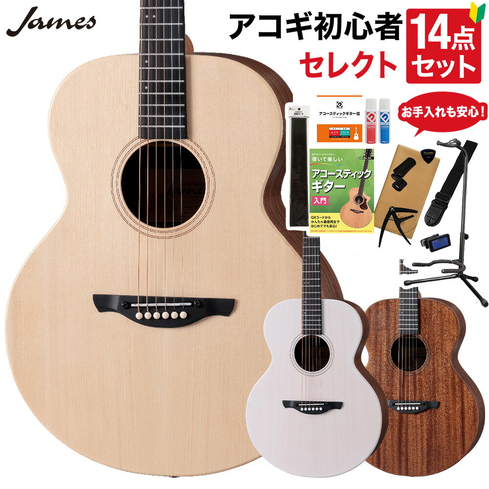 JamesJ-300Sアコースティックギター mt0155035.jpg