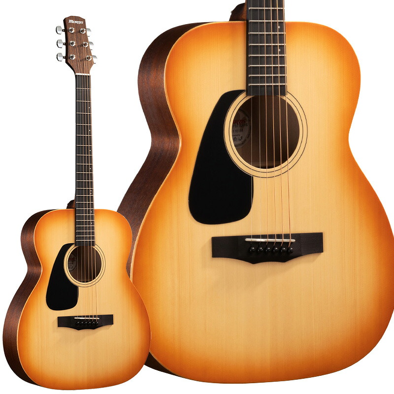 楽天市場】Morris F-010 LH TS -Performers edition- 新品