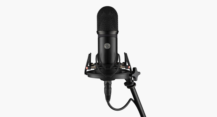 【マラソン期間中 エントリーでさらP5倍】Voyage Audio Spacial Mic Dante|島村楽器