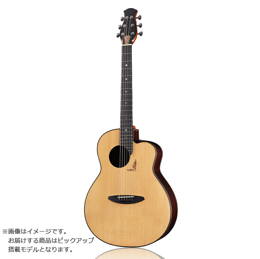 【マラソン期間中 エントリーでさらにP5倍】 aNueNue aNN-LS770E エレアコギター Future シリーズ アヌエヌエ