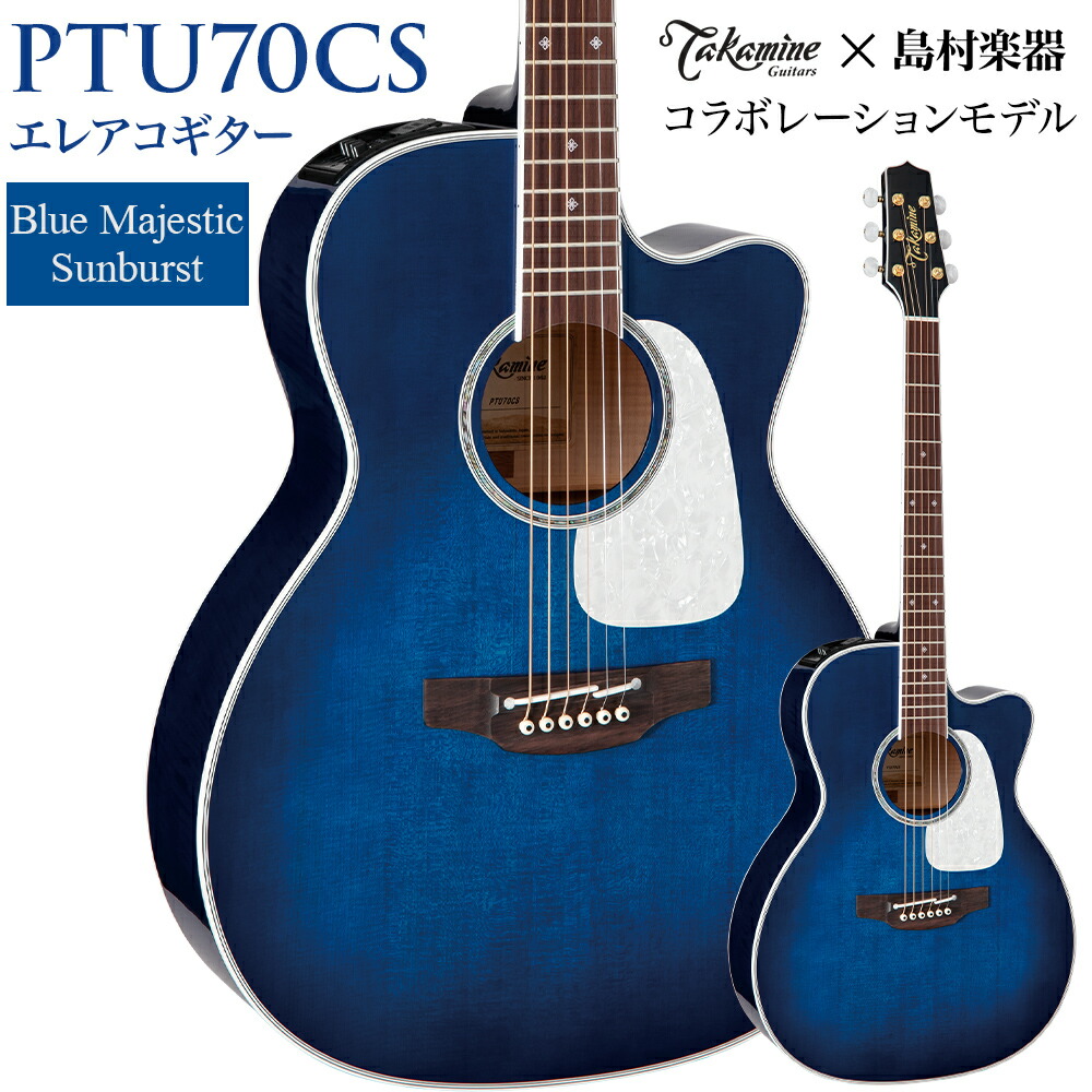 Takamine エレアコ Takamine / LTD2025 AEG Antique Evergreen 高峰楽器製作所