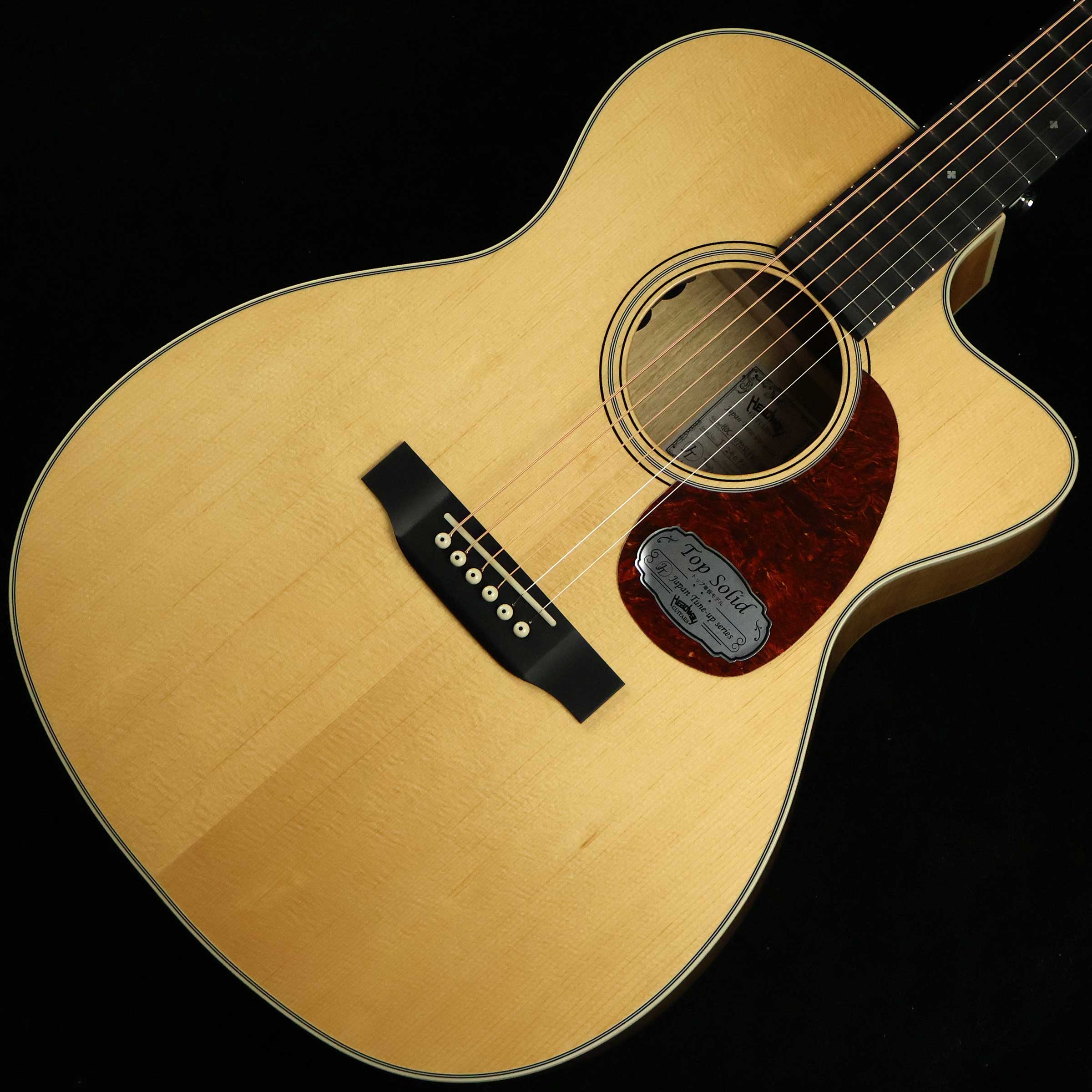 Headway ヘッドウェイ アコギ セミハードケース付き 楽天市場】Headway ヘッドウェイ ハードケース アコースティックギター