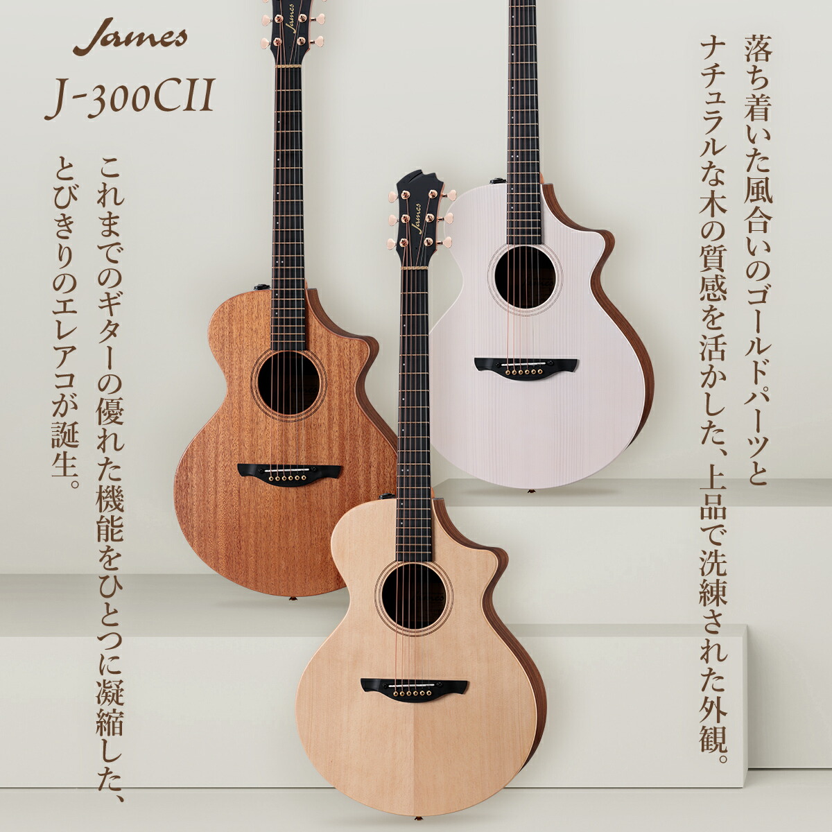 アコースティックギター（エレアコ）Takamine PT-209 - メルカリ
