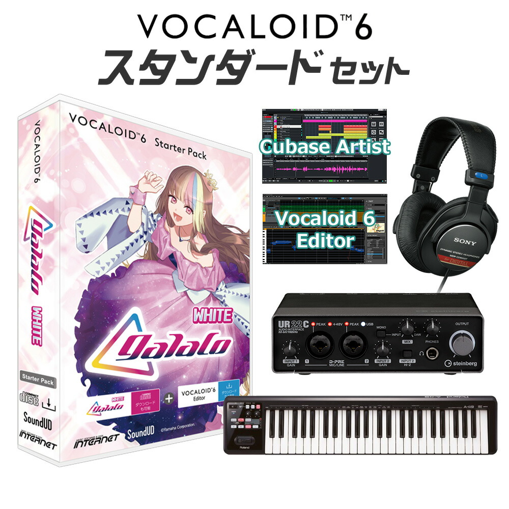 ボカロ　ボーカロイド　セット CRYPTON 鏡音リン 鏡音レン V4X ボカロ初心者スターターセット