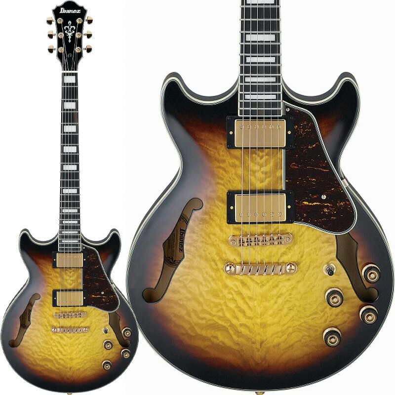 Ibanes  セミアコースティックギター AS73-TCD(改) Ibanes セミアコースティックギター AS73-TCD(改) - メルカリ