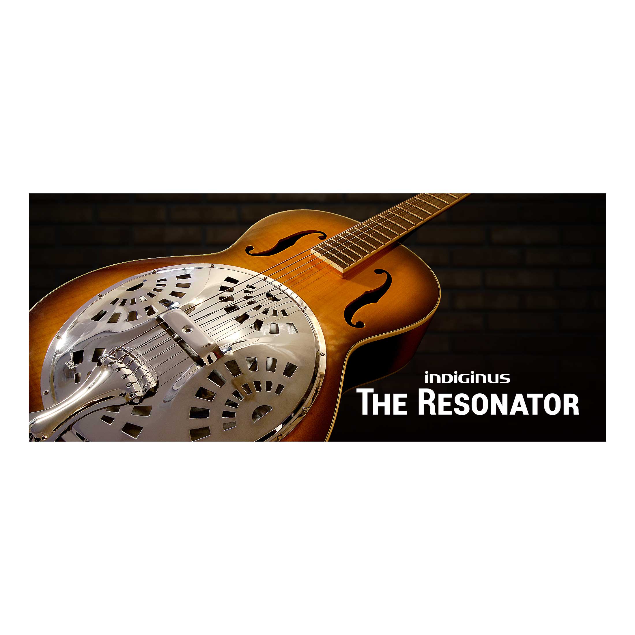 IK Multimedia The Resonator プラグイン IKマルチメディア [メール納品 代引き不可]