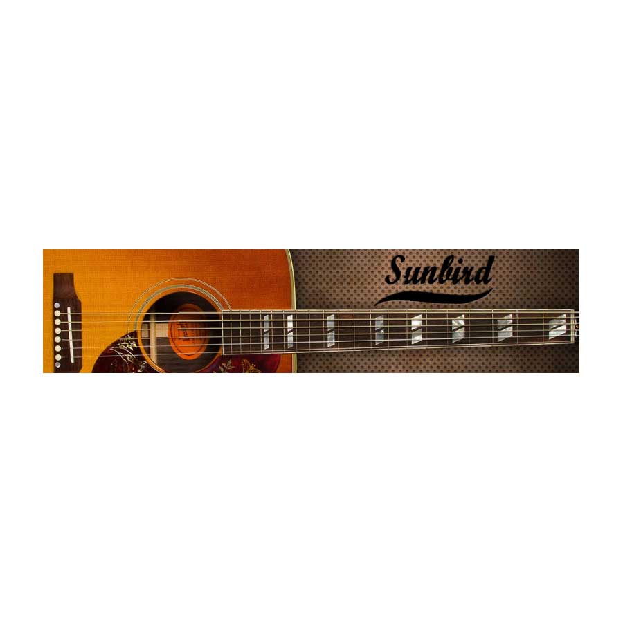 Acoustic Samples Sunbird ソフト音源 ギター音源 ギブゾンアコギ アコースティックサンプル[メール納品 代引き不可] 17,937円