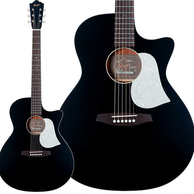【マラソン期間中 エントリーでさらにP5倍】 aNueNue GA01 Black (ブラック) アコースティックギター トップ単板 グランドオーディトリアム ケース付属 アヌエヌエ Singer Guitars