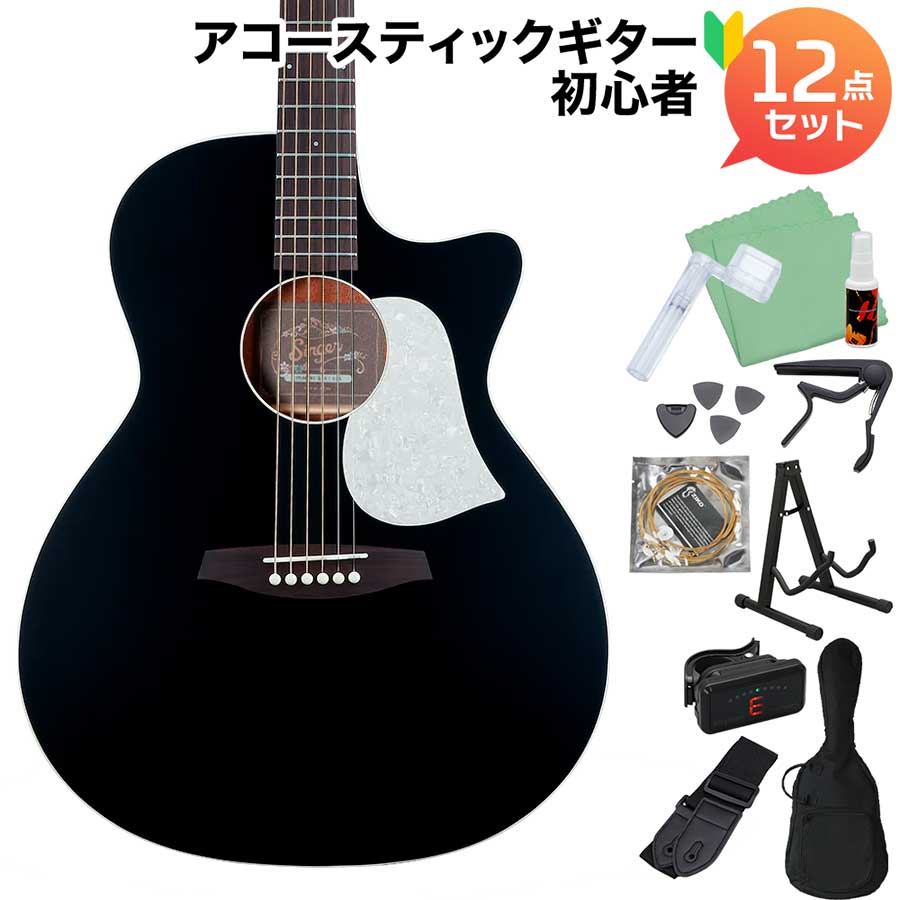 aNueNue GA01 Black (ブラック) アコースティックギター初心者12点セット トップ単板 グランドオーディトリアム アヌエヌエ Singer Guitars