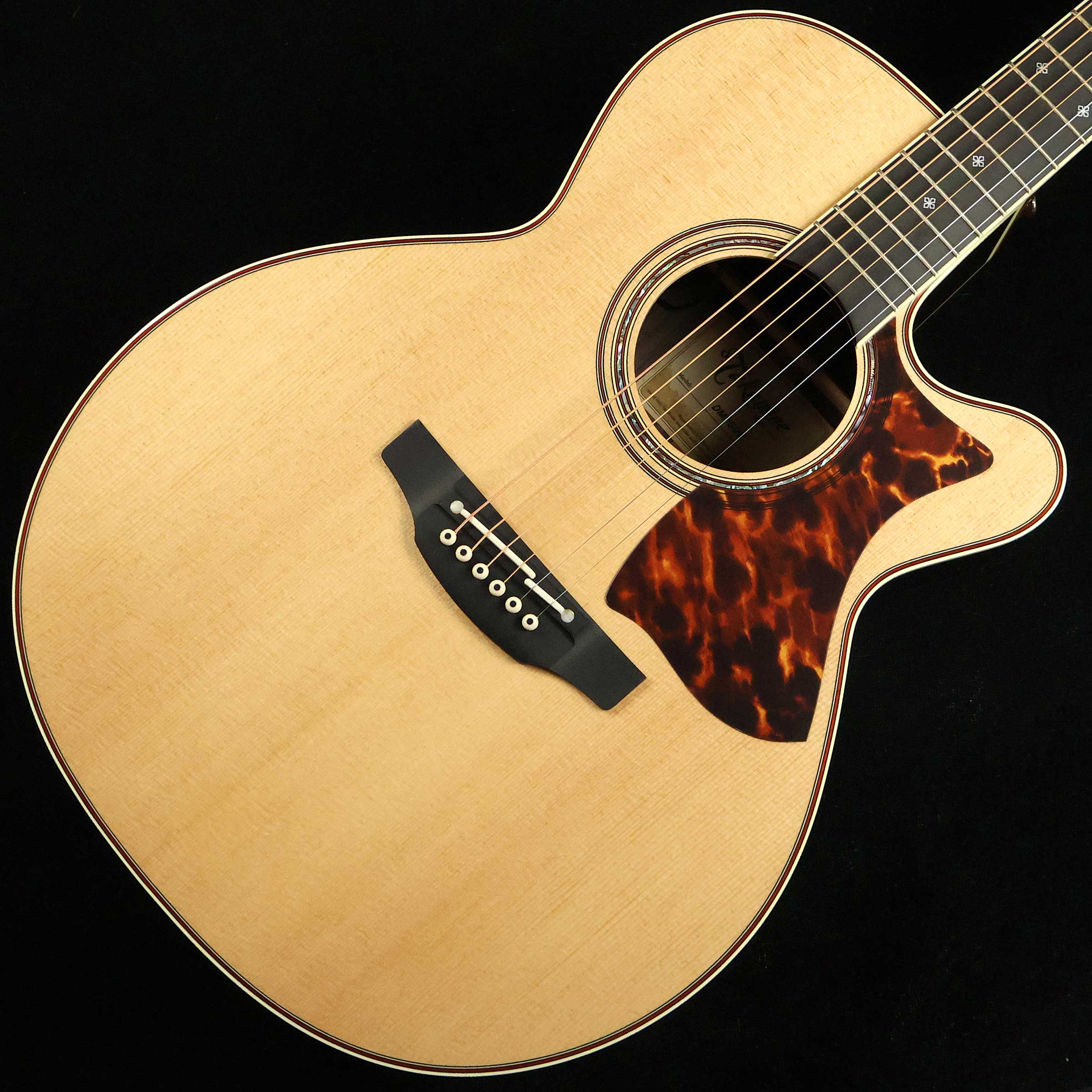 【マラソン期間中 エントリーでさらにP5倍】 Takamine DMP50S Natural　S/N：62020214 【エレアコ】 タカミネ 【未展示品】
