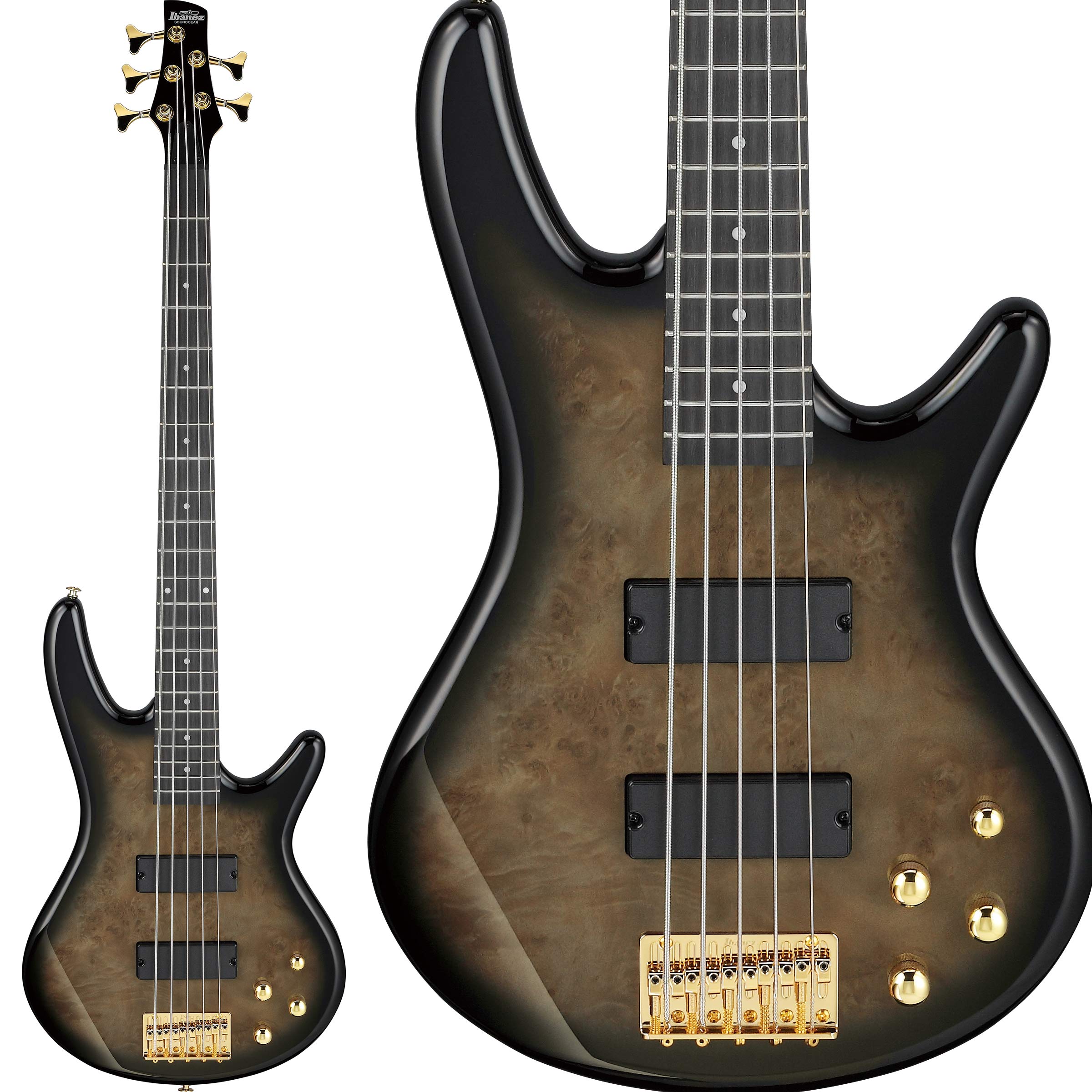 楽天市場】GIO Ibanez ジオ・アイバニーズ 初心者向け5弦エレキ