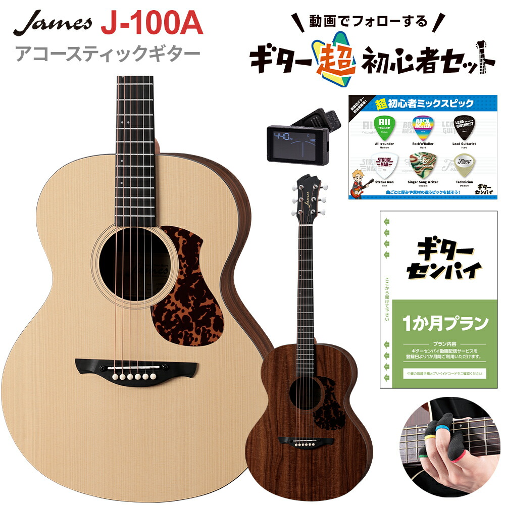 楽天市場】James J-500S VNT エレアコ アジャスタブルサドル搭載 簡単