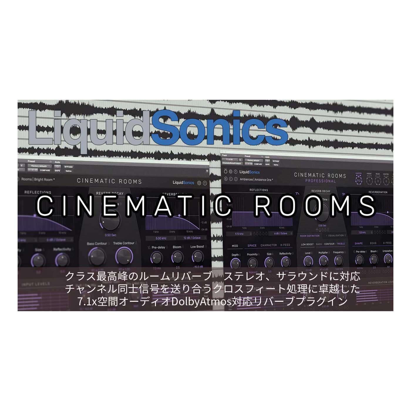 LiquidSonics Cinematic Rooms Professional プラグインエフェクト リクイッドソニックス [メール納品 代引き不可]