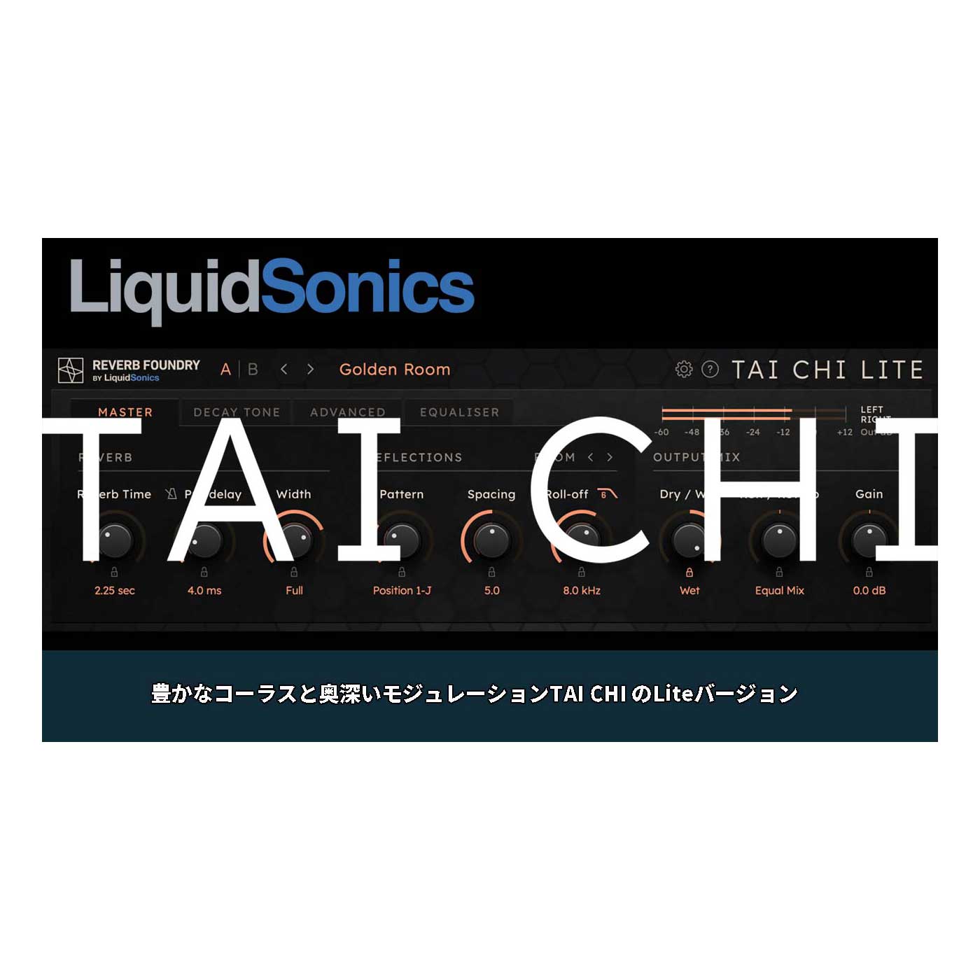 【マラソン期間中 エントリーでさらにP5倍】 LiquidSonics Tai Chi Lite プラグインエフェクト リクイッドソニックス [メール納品 代引き不可]