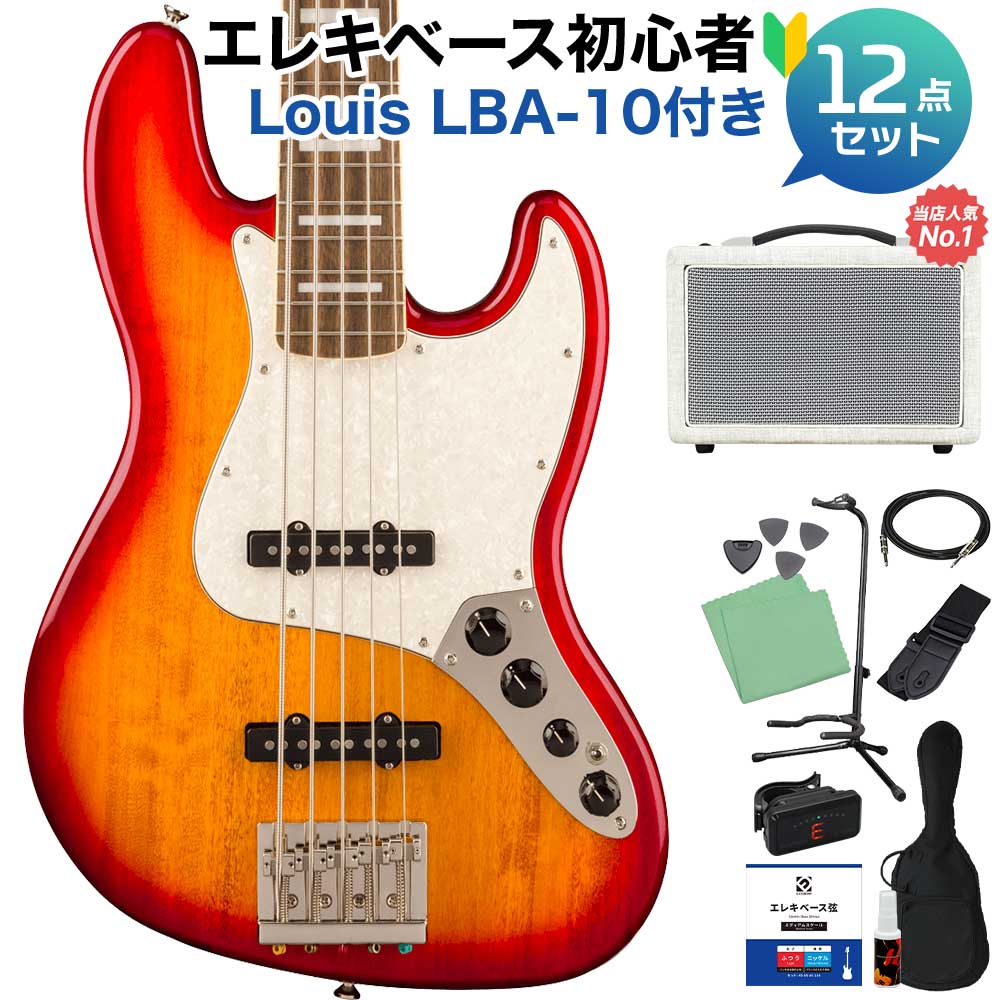 楽天市場】FERNANDES FJB5-DLX PCS 5弦ベース エレキベース コイル