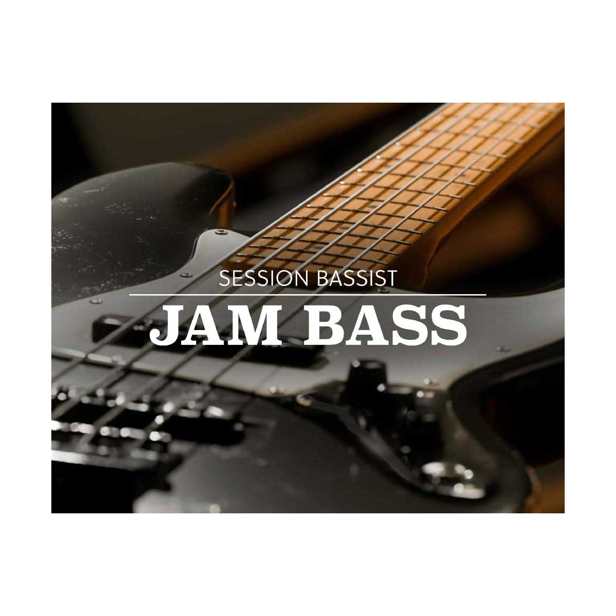 Native Instruments (NI) Session Bassist - Jam Bass ネイティブインストゥルメンツ [メール納品 代引き不可]