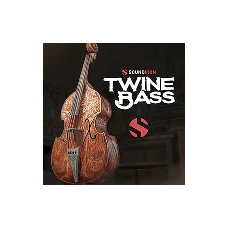 SOUNDIRON TWINE BASS 2.0 ソフト音源 サウンドアイアン B7412[メール納品 代引き不可]
