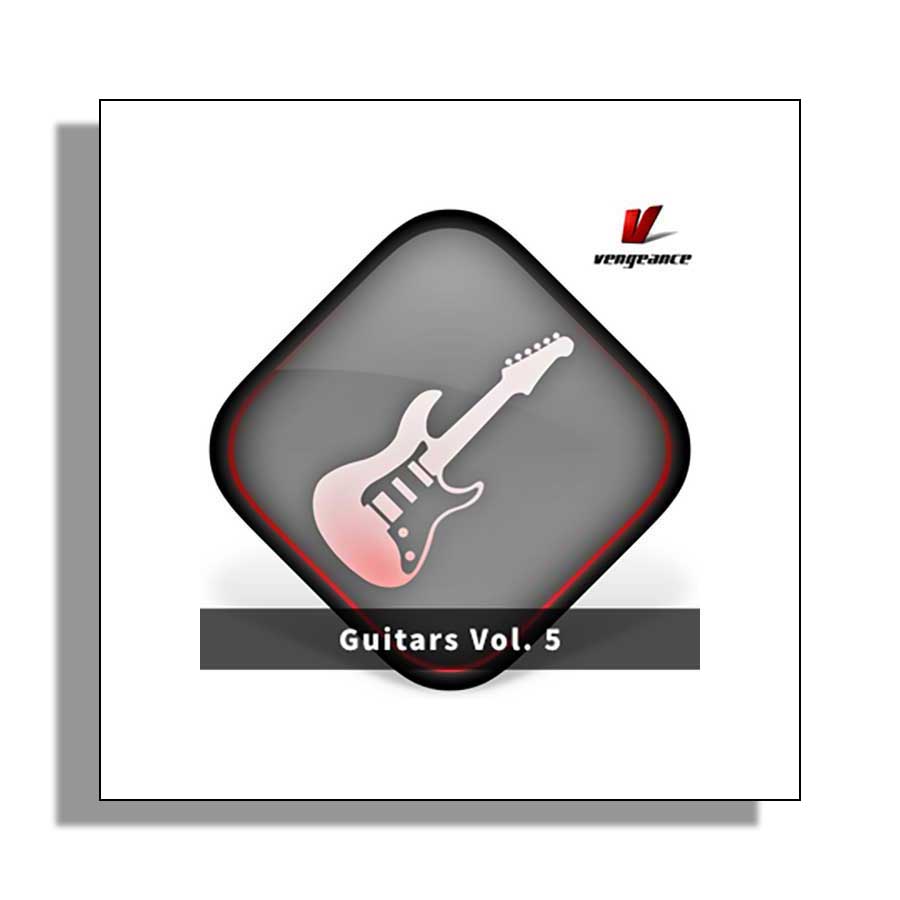 VENGEANCE SOUND Guitars Vol.5 ソフト音源 拡張パック ベンジェンス・サウンド C8960[メール納品 代引き不可]