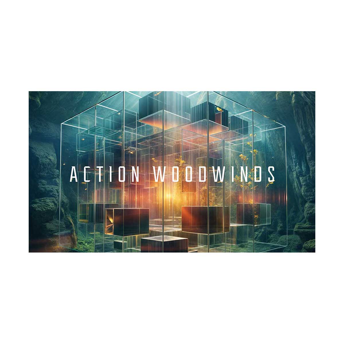 【マラソン期間中 エントリーでさらP5倍】Native Instruments (NI) Action Woodwinds ソフト音源 ネイティブインストゥルメンツ [メール納品 代引き不可]｜島村楽器