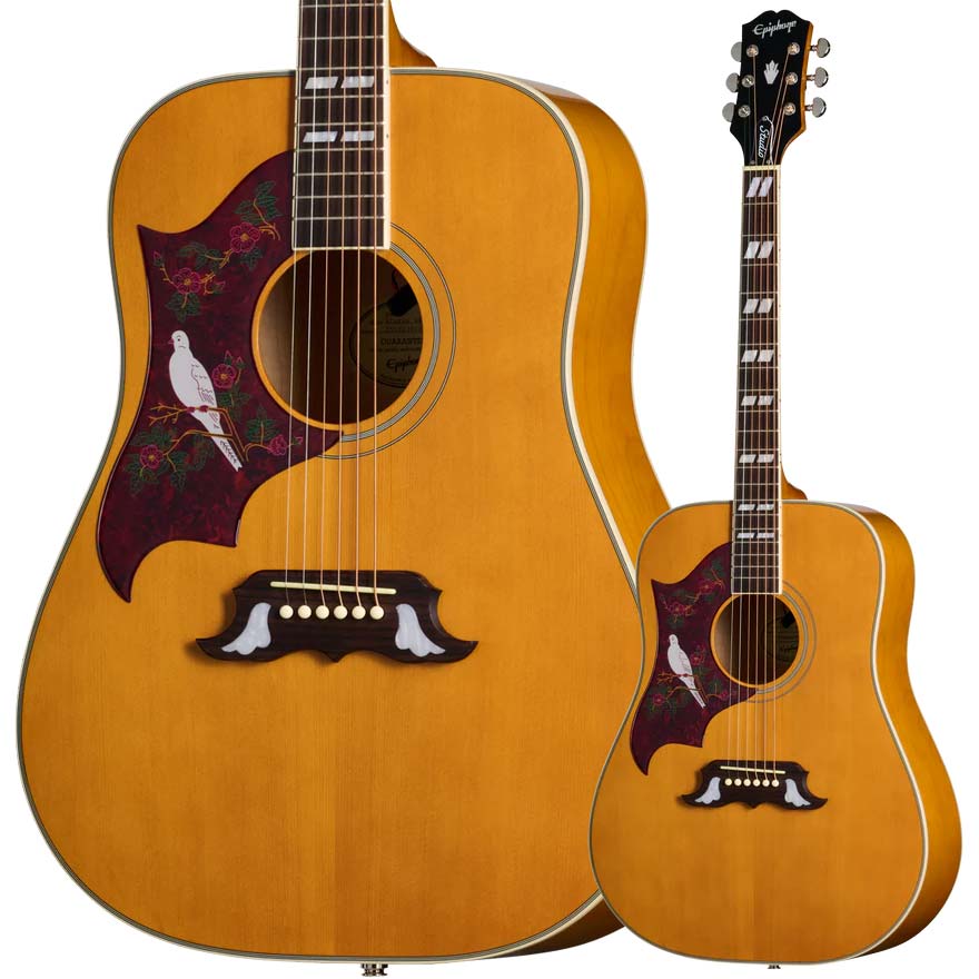 【マラソン期間中 エントリーでさらP5倍】Epiphone Dove Studio Left-Handed Natural アコースティックギター エレアコ ナチュラル レフトハンド レフティ 左利き用 エピフォン EASDVANNH1L｜島村楽器