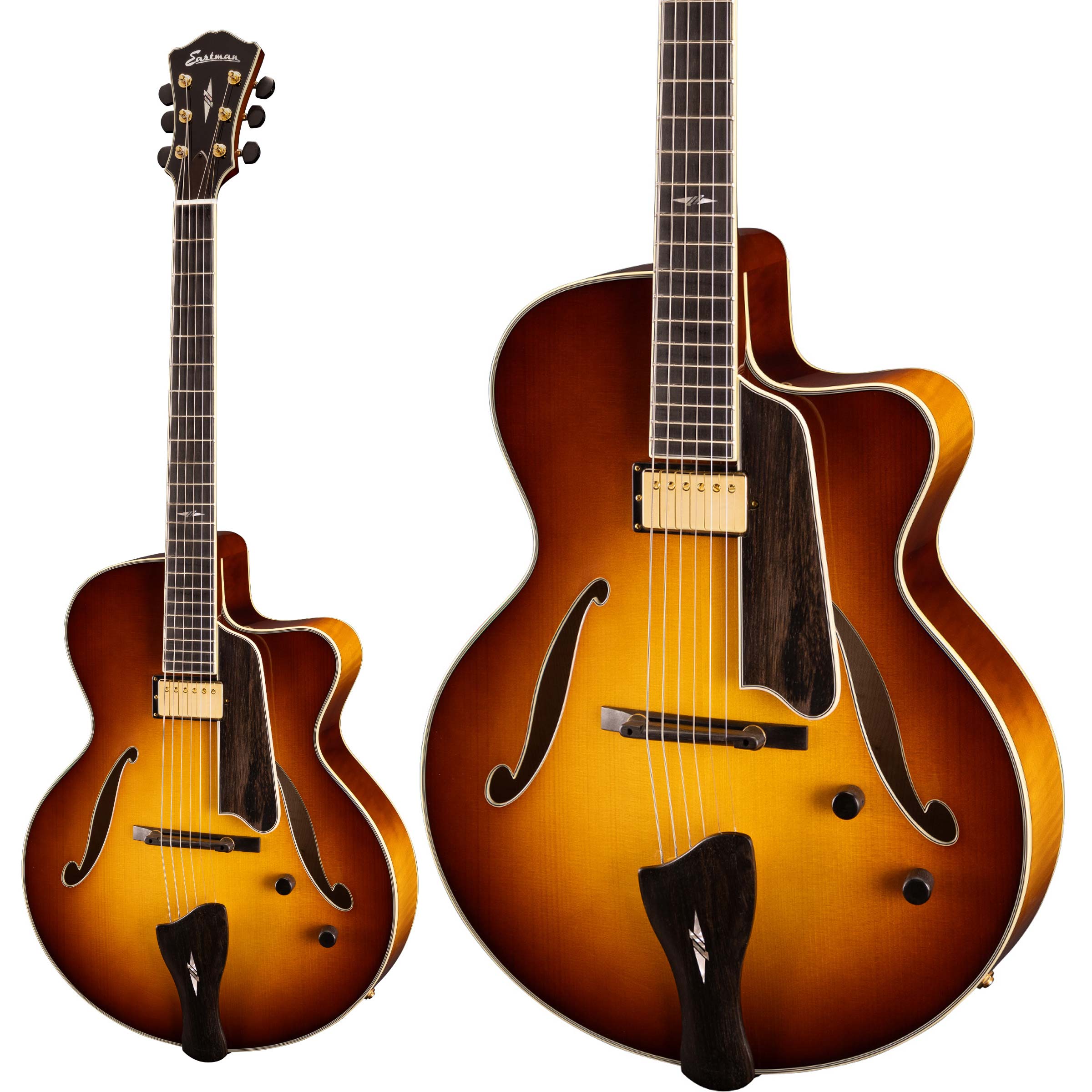 楽天市場】Eastman AR-175CE -Sunburst- 【2.63kg】[イーストマン