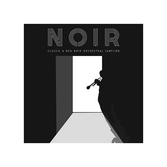 【マラソン期間中 エントリーでさらP5倍】Sonokinetic Noir ソフト音源 ジャズ・オーケストラライブラリ ソノキネティック C8607[メール納品 代引き不可]｜島村楽器 35,843円