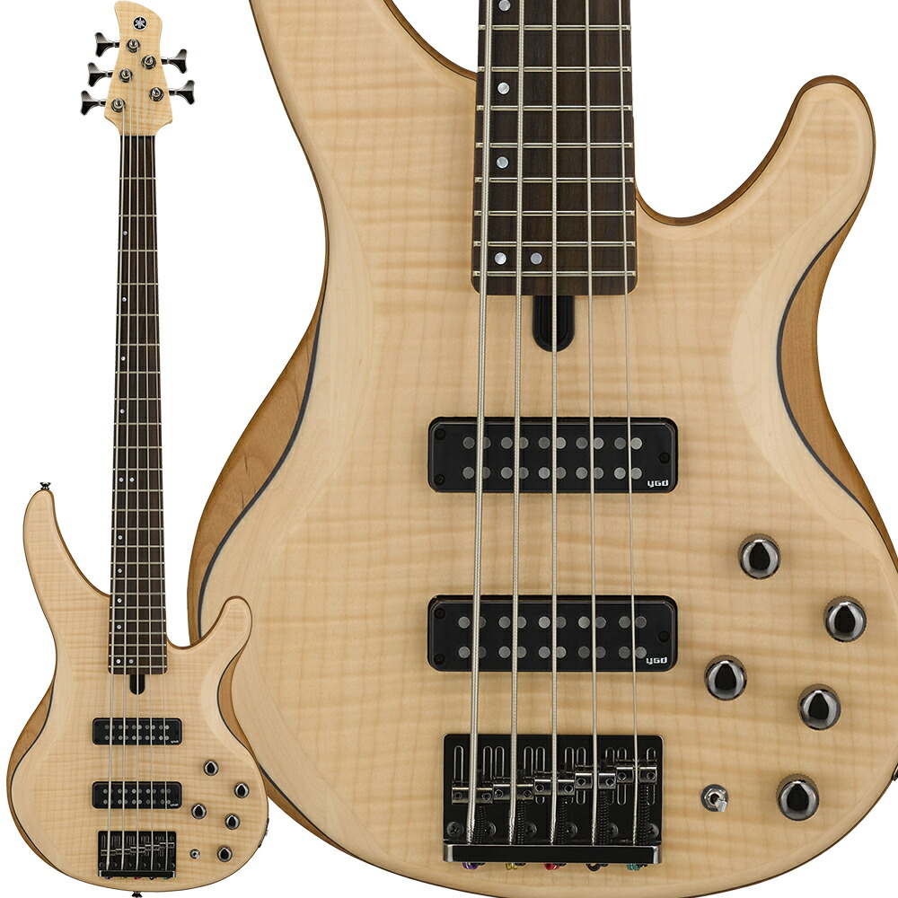 楽天市場】YAMAHA TRBX505 TWH ヤマハ TRBX505 TWH5弦ベース