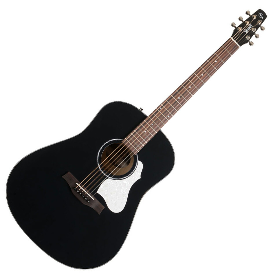 【訳あり】Seagull Grand アコースティックギター　エレアコ　シーガル アコースティックギター・エレアコ】Seagullより、新製品続々