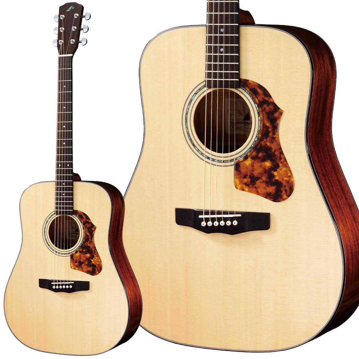 楽天市場】Morris Y-90 ニューヨーカースタイル オール単板 Made
