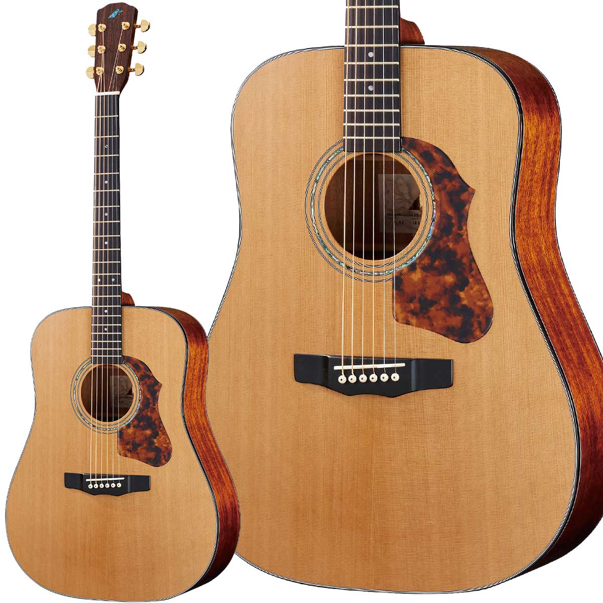 楽天市場】Morris Y-90 ニューヨーカースタイル オール単板 Made
