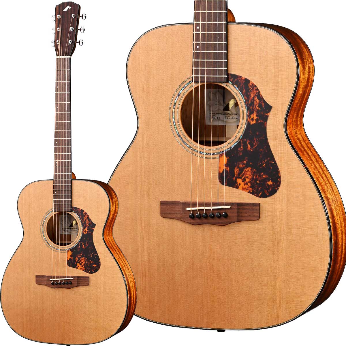 楽天市場】【ポイント3倍】Morris Y-90 ニューヨーカースタイル