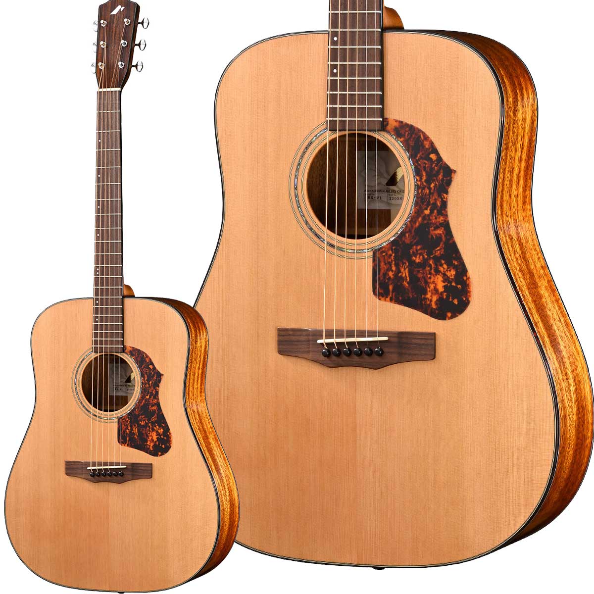 楽天市場】Morris Y-90 ニューヨーカースタイル オール単板 Made