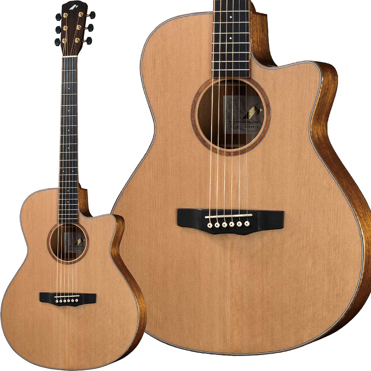 楽天市場】プレゼント付き！Morrisモーリス/アコースティックギター