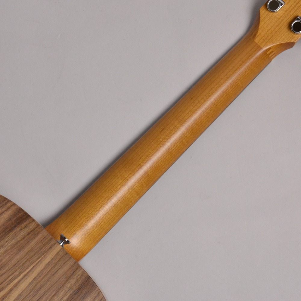 Taylor Baby Taylor E ミニエレアコギター テイラー イオンモール幕張新都心店 Rvcconst Com