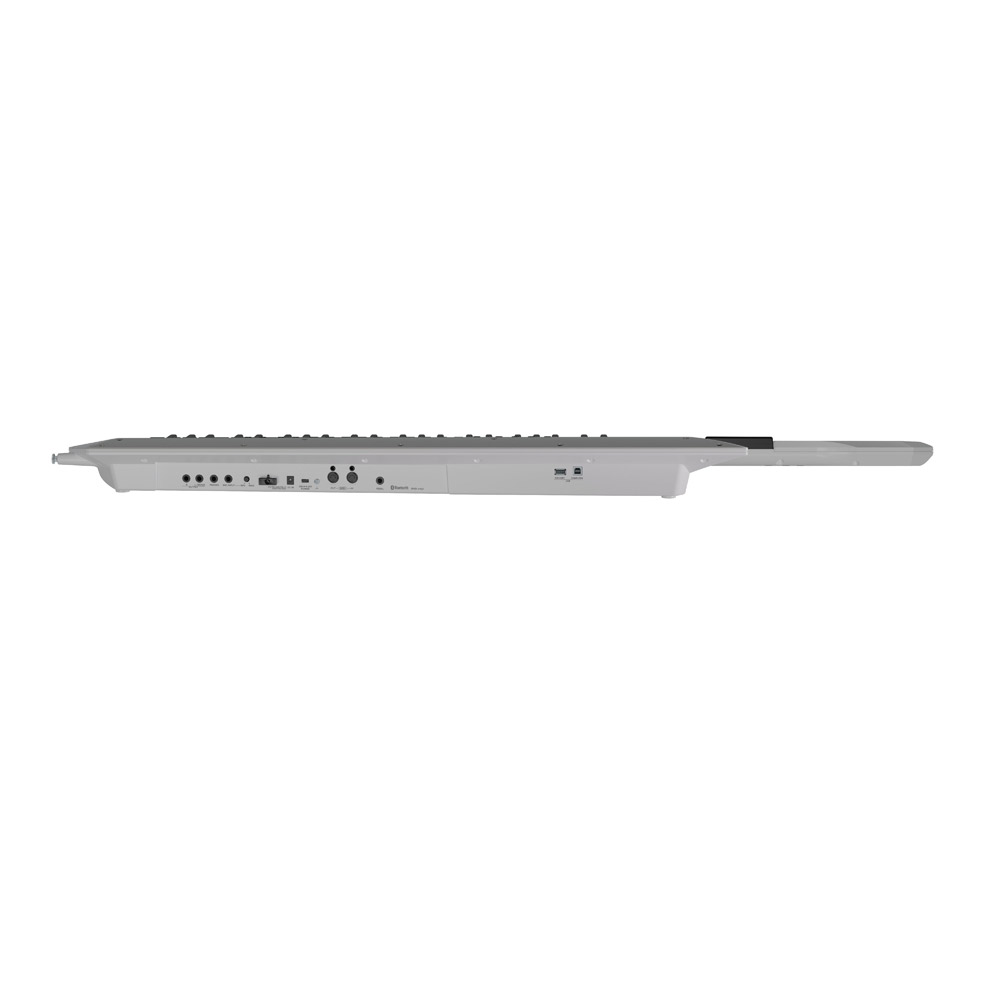 https://image.rakuten.co.jp/shimamuragakki/cabinet/tk01258/tk0125851_1.jpg