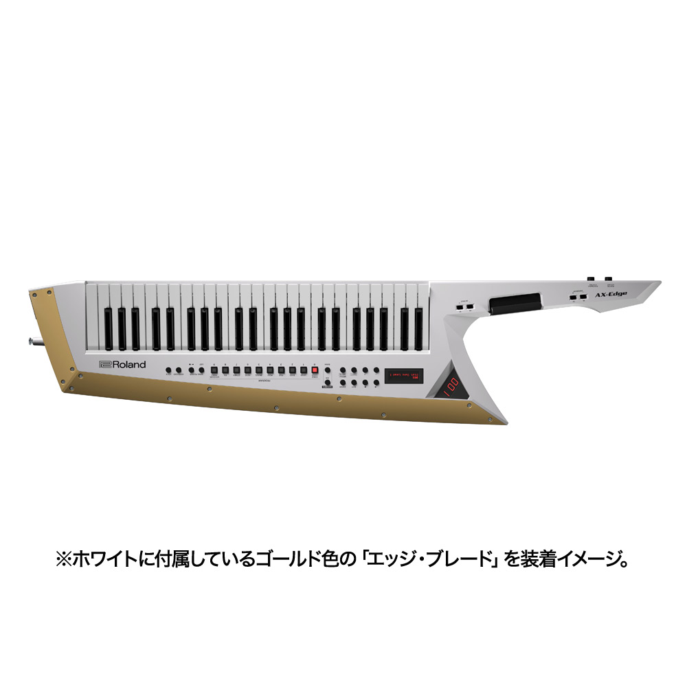 https://image.rakuten.co.jp/shimamuragakki/cabinet/tk01258/tk0125851_5.jpg