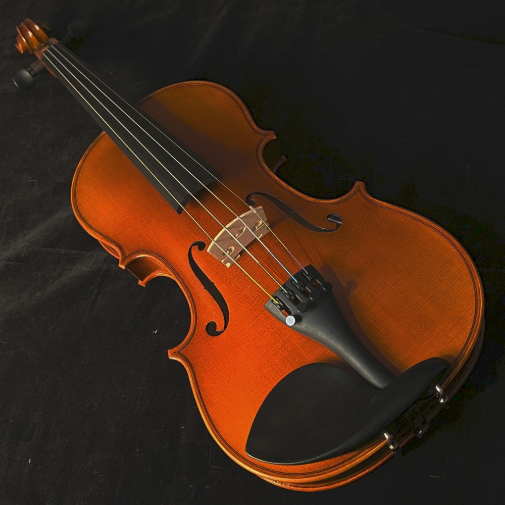 楽天市場】EASTMAN SVL80セット 4/4 バイオリン 初心者セット 【マイ ...