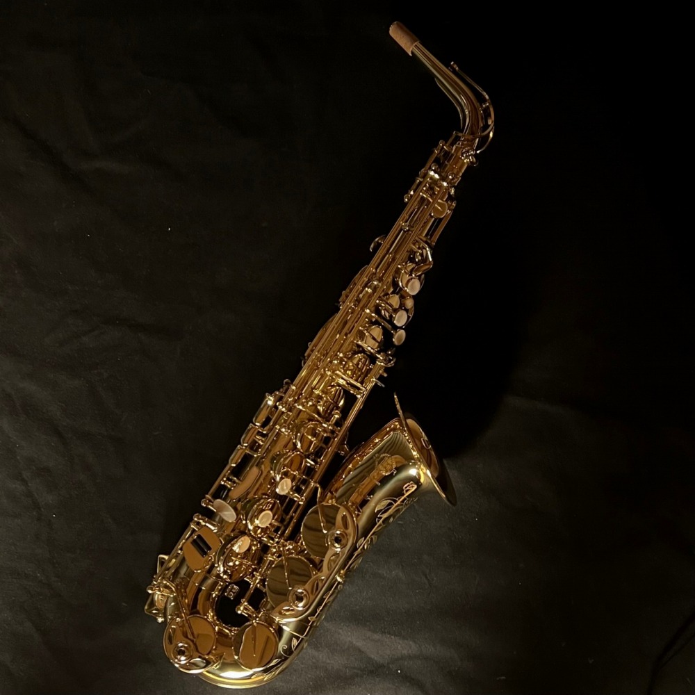 楽天市場】【リードが選べる特別セット！】SELMER Paris AXOS