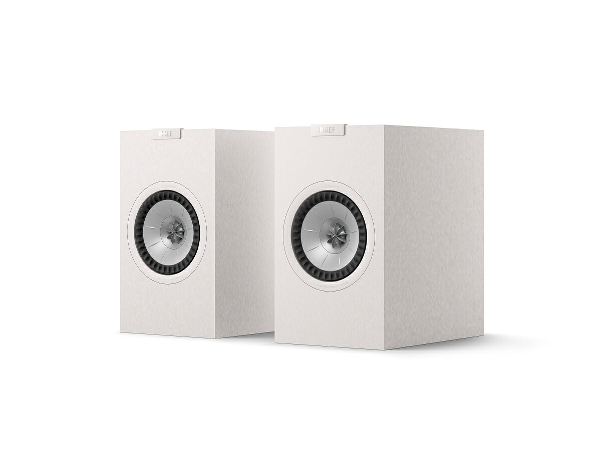 KEF Q1 Meta 繻子白いこと (ありの実)