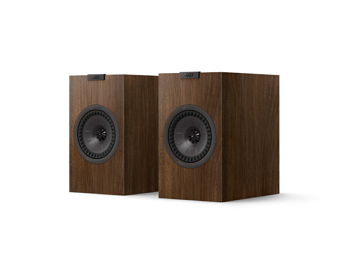 KEF Q1 Meta ウォール中毒者 (ありの実)