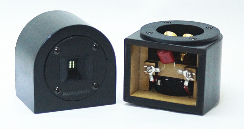 MusicaNote S-STW101 (ありの実)