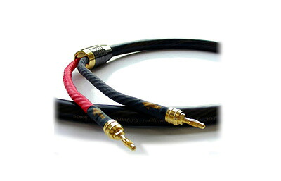 REAL CABLE 固定ディスク TDC 600/3ｍ（ありの実）【お取り寄せ商いもの】 スピーカーケーブル-TV・オーディオ・カメラ