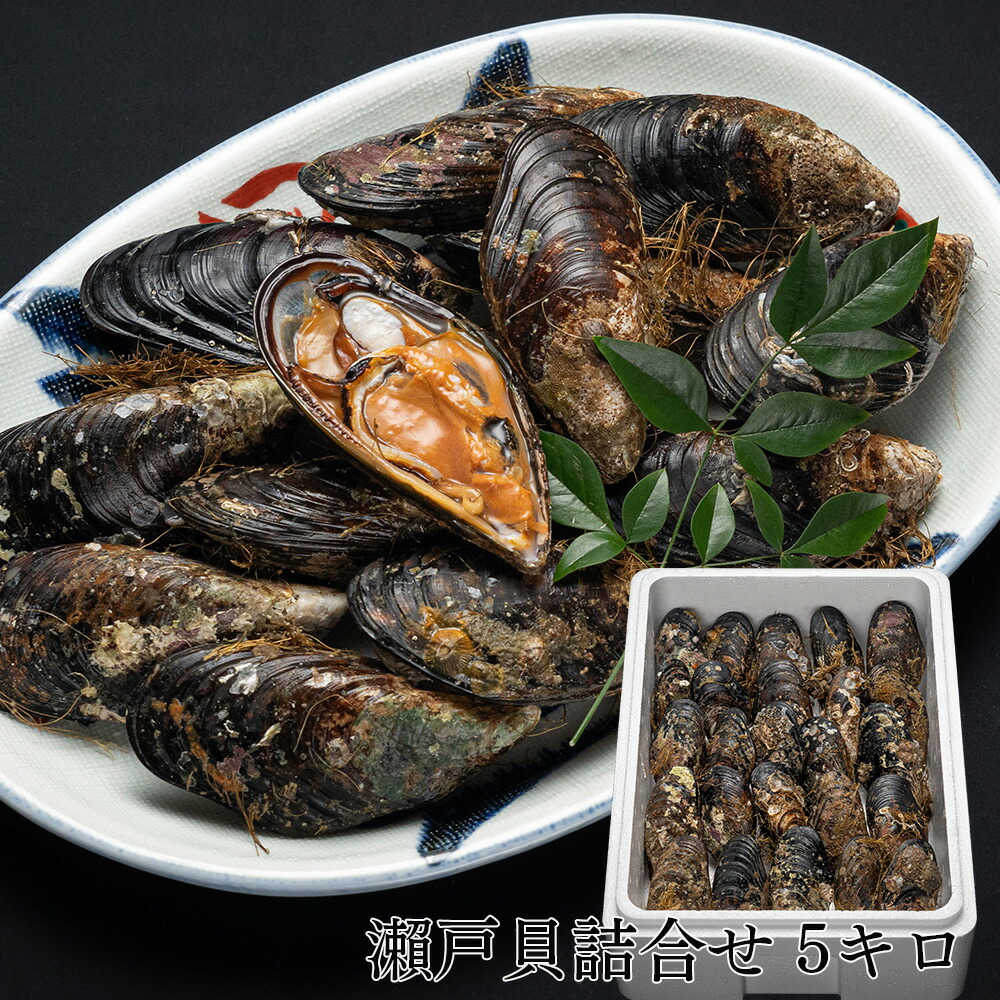 楽天市場】瀬戸貝詰合せ 3kg : せとうちみなとマルシェ